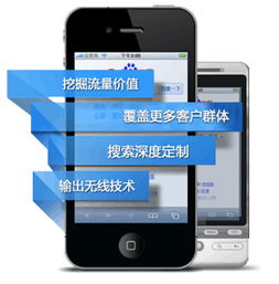 专业网站建设代理服务 手机网站与微信网站一站式解决方案